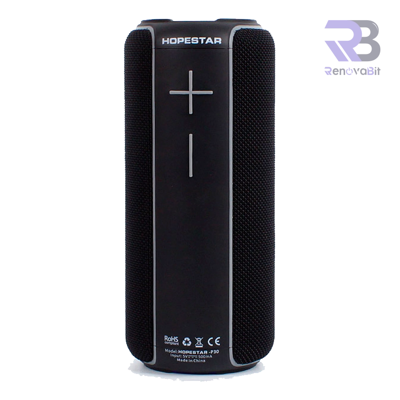 Parlante HopeStar P30 Negro